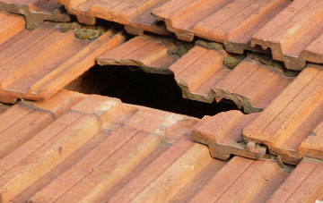 roof repair Peene, Kent