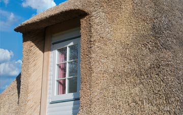 Peene thatch roof disadvantages